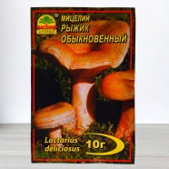 Міцелій гриба Рижик звичайний, 10г